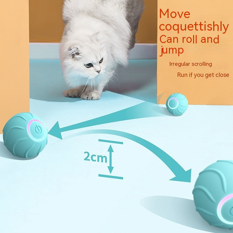 Automatic Bouncing Cat Ball Toy (photo 4)