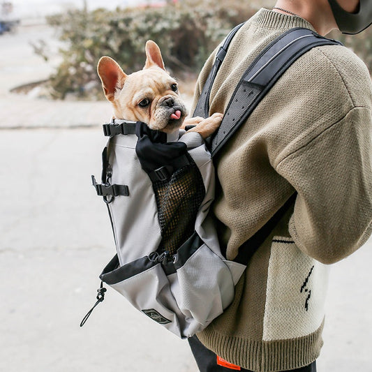 Dog Carrier Backpack for Small Dogs, S to XL