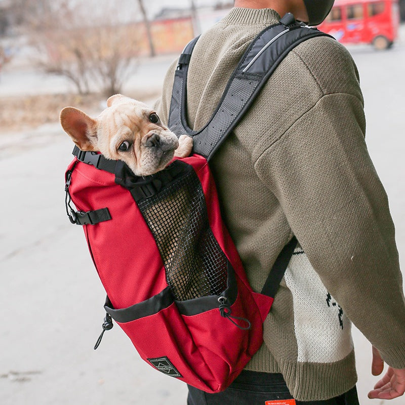 Dog Carrier Backpack for Small Dogs, S to XL (photo 2)