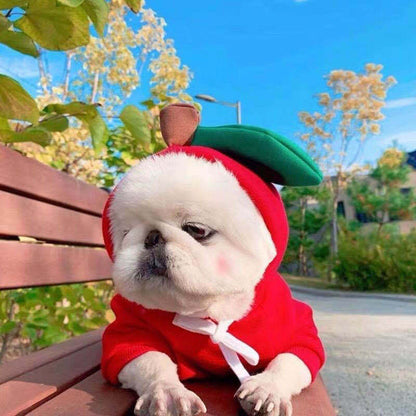 Fruit-Themed Fleece Hoodie for Small Dogs (photo 7)