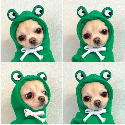 Fruit-Themed Fleece Hoodie for Small Dogs (photo 12)