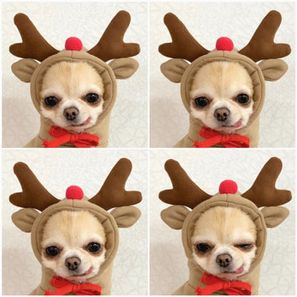 Fruit-Themed Fleece Hoodie for Small Dogs (photo 13)