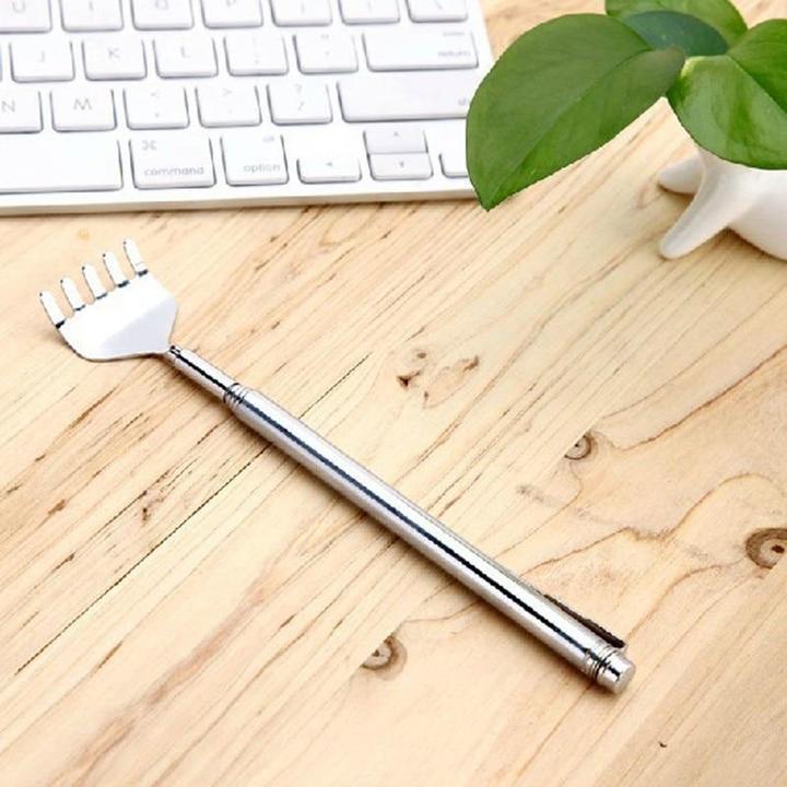 Telescoping Stainless Steel Back Scratcher (photo 3)