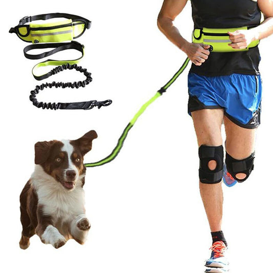 Hands-Free Dog Leash with Waist Belt and Bungee