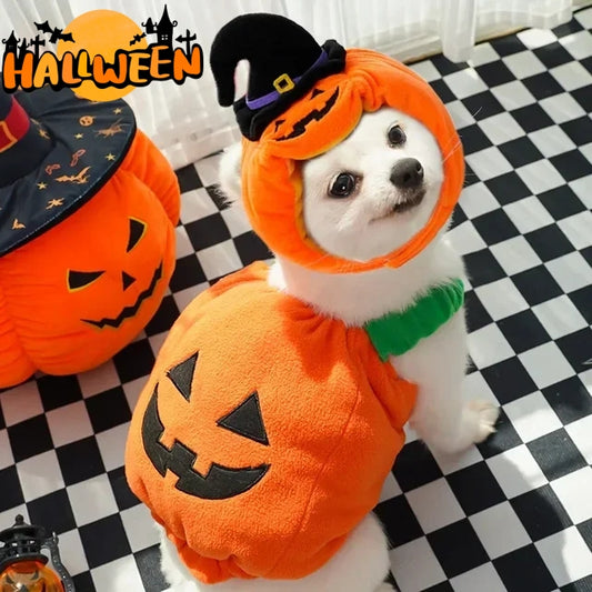 Halloween Pumpkin Pet Costume Vest and Hat