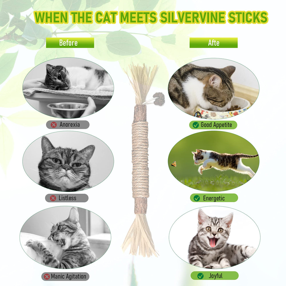 Silvervine Chew Sticks for Cats, 3 to 20 Pieces (photo 5)