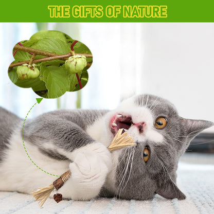 Silvervine Chew Sticks for Cats, 3 to 20 Pieces (photo 4)