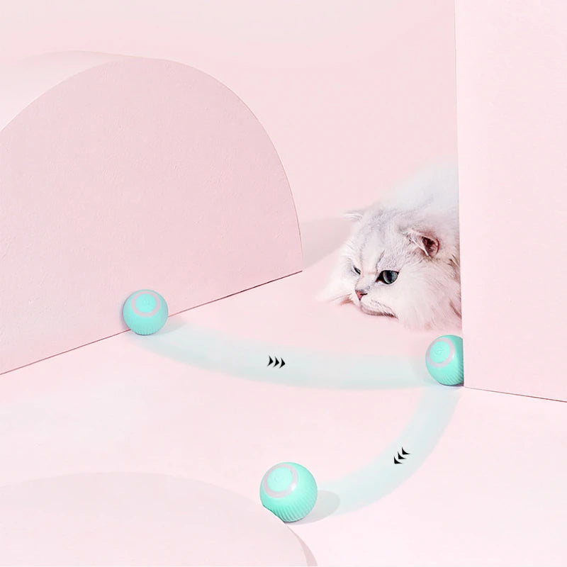 Remote Control Interactive Cat Car Toy (photo 12)