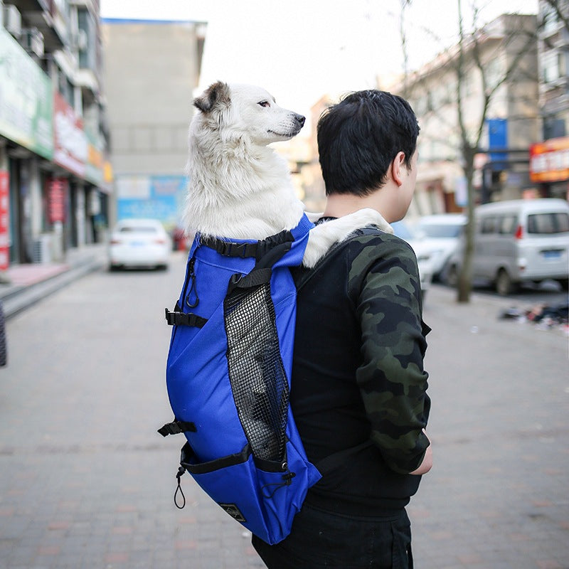 Dog Carrier Backpack for Small Dogs, S to XL (photo 3)