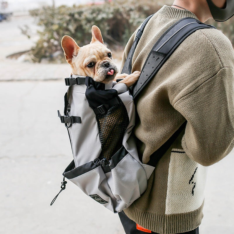Dog Carrier Backpack for Small Dogs, S to XL (photo 5)