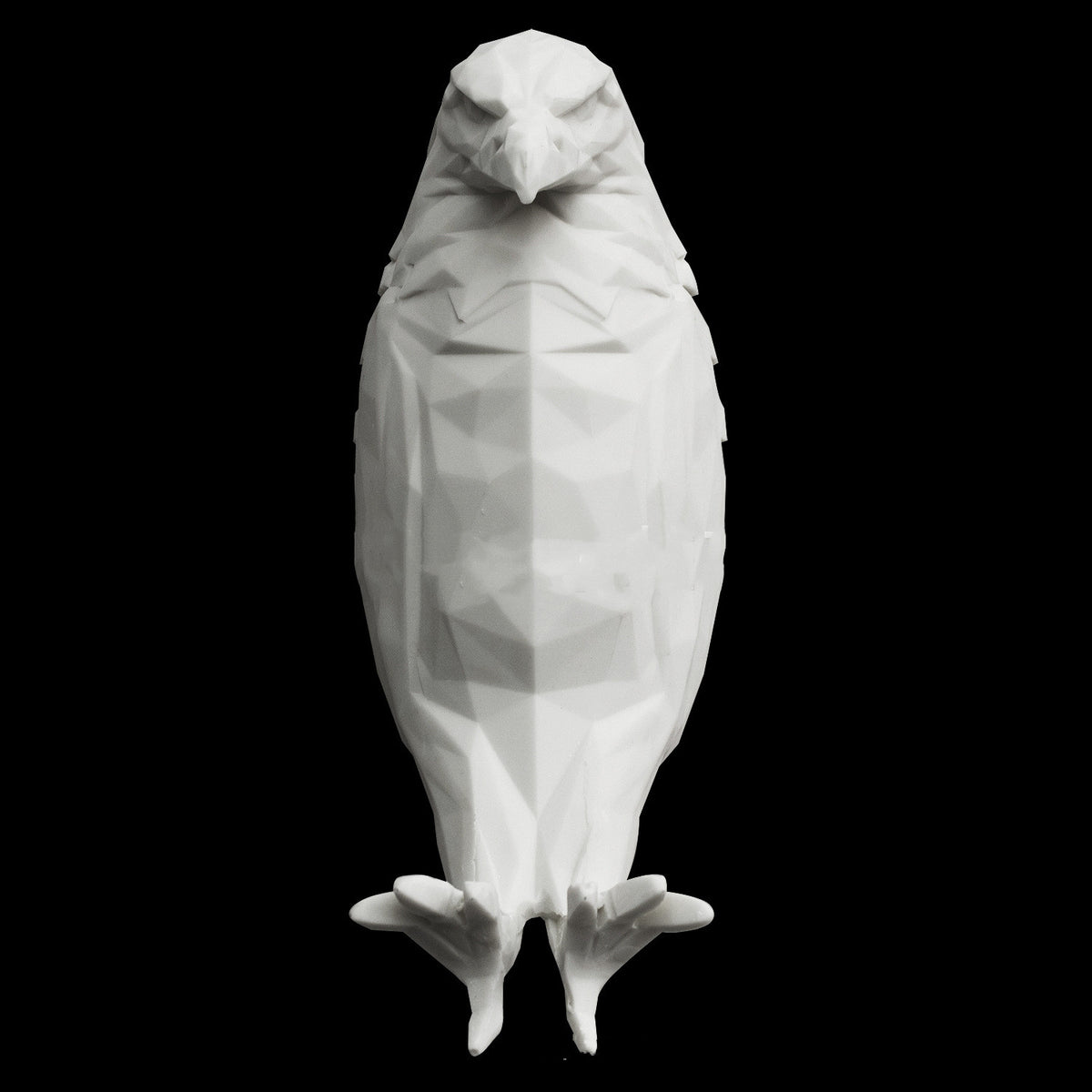 Eagle Shadow Wall Lamp (photo 5)