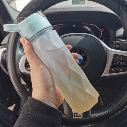 Spray Water Bottle with Carry Strap (photo 30)