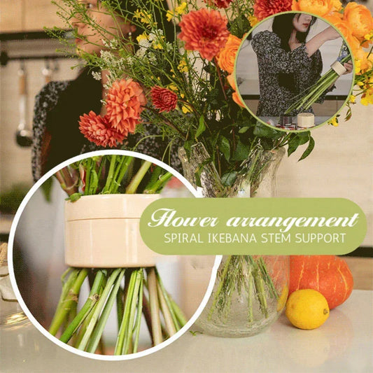 Spiral Flower Stem Holder for Vases