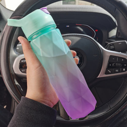 Spray Water Bottle with Carry Strap (photo 28)