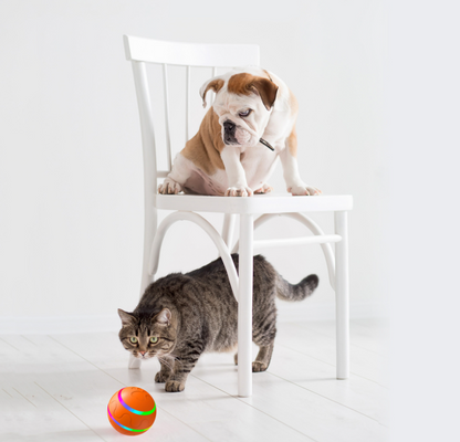 Automatic Rolling Cat Ball, USB Rechargeable (photo 3)