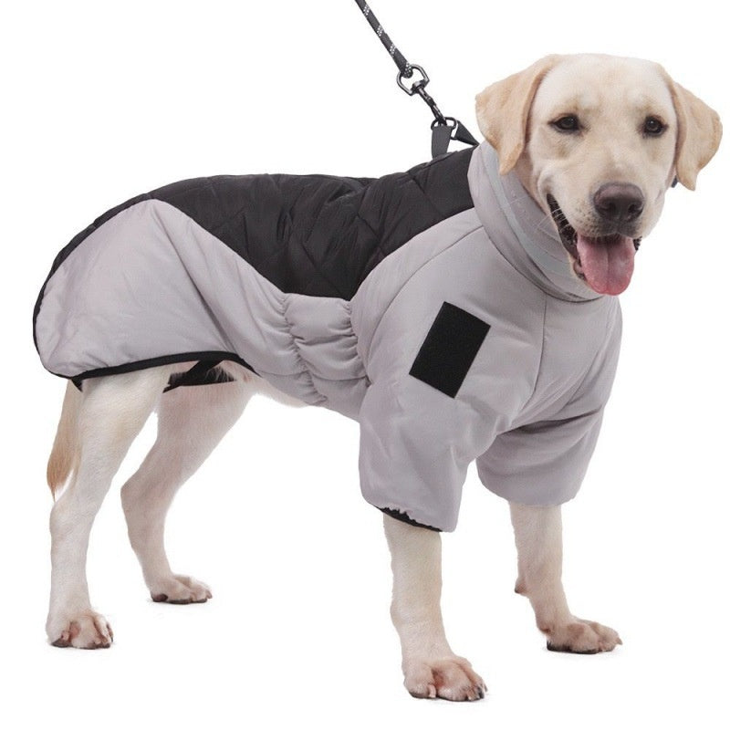 Padded Winter Dog Coat (photo 2)