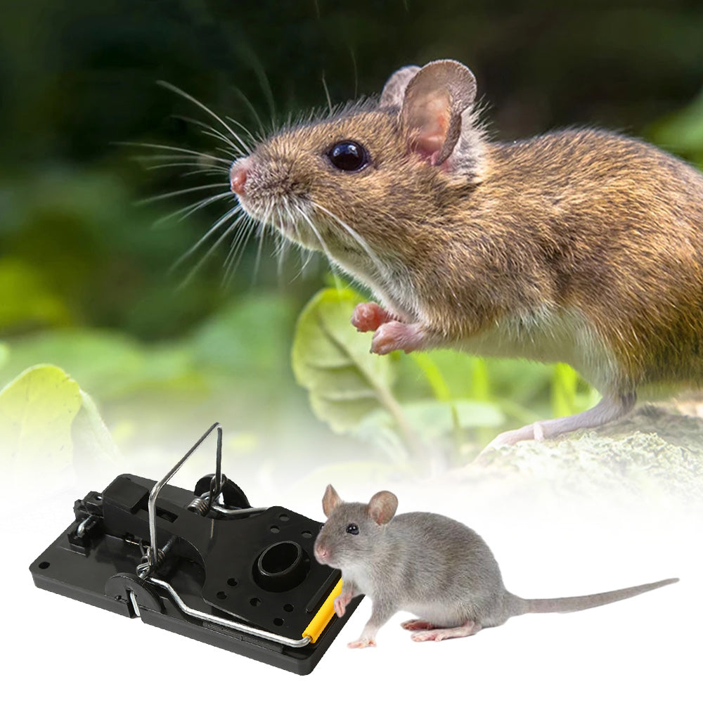 Reusable Snap Mouse Trap