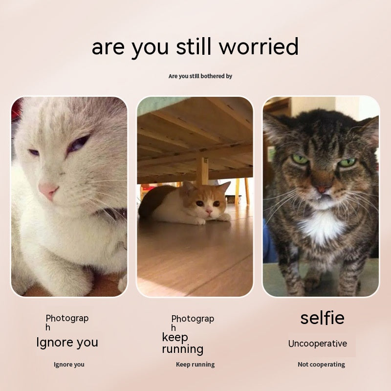 Pet Selfie Phone Clip with Treat Holder (photo 7)