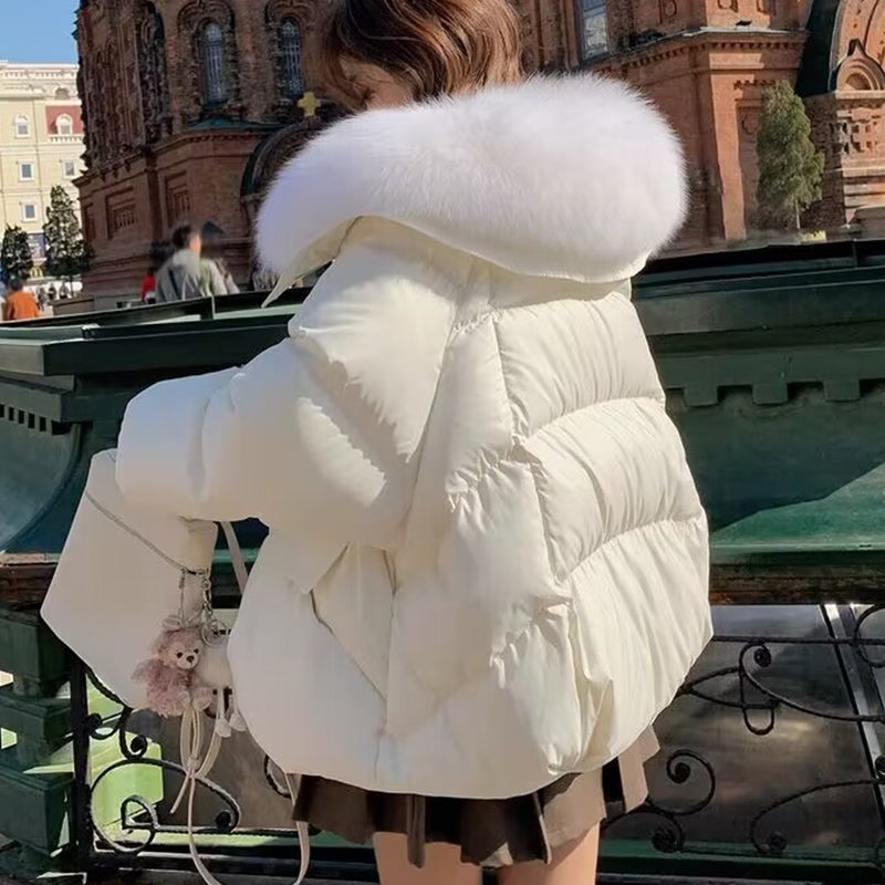 Women's Short Padded Jacket with Faux Fur Collar (photo 2)