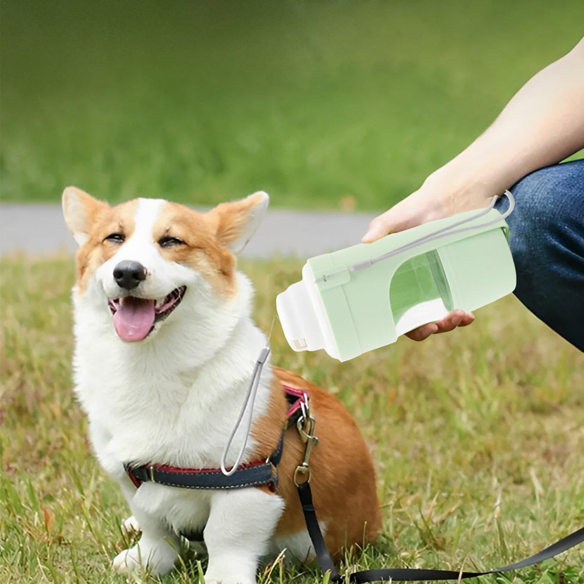 2-in-1 Travel Dog Water and Food Bottle with Lanyard (photo 5)