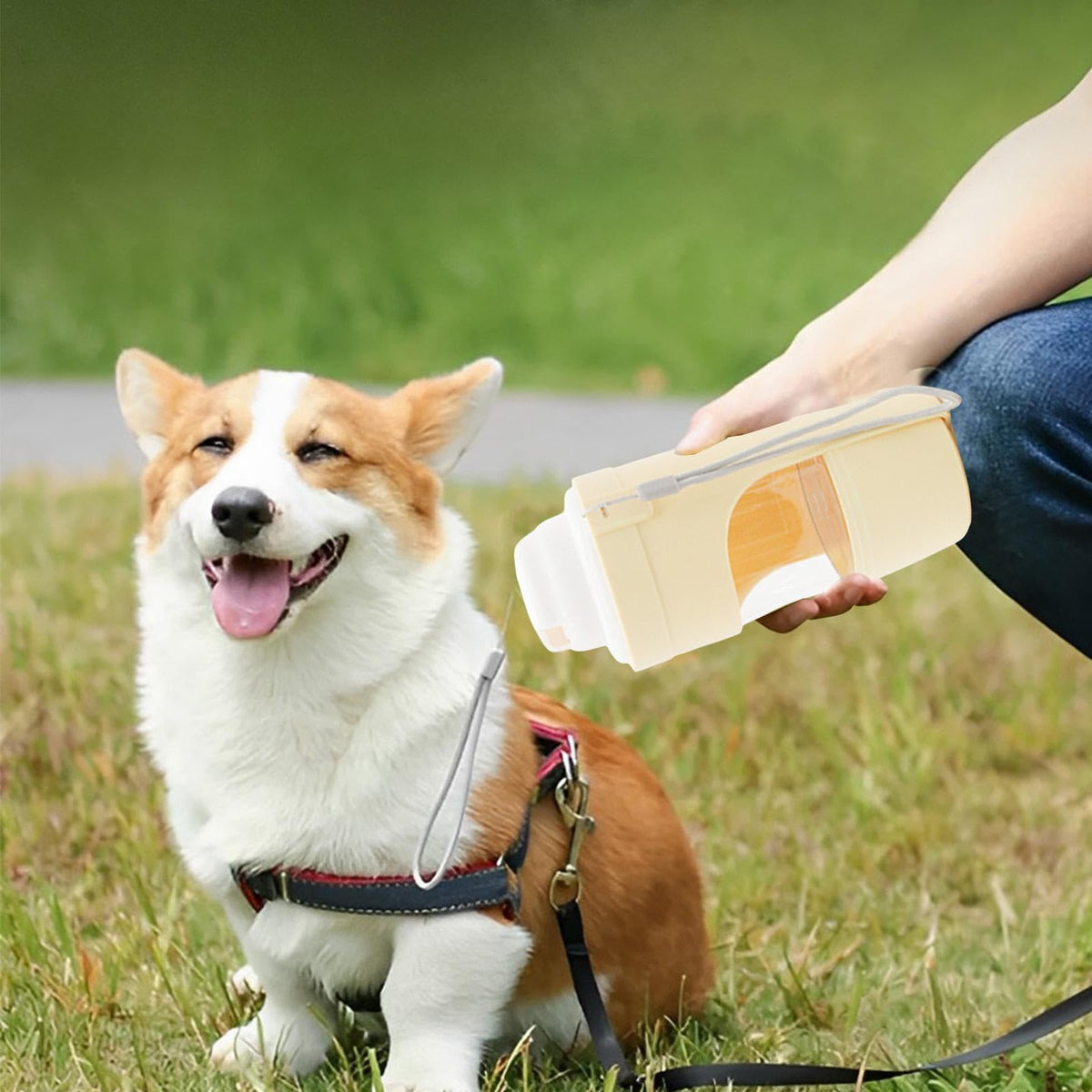 2-in-1 Travel Dog Water and Food Bottle with Lanyard (photo 4)