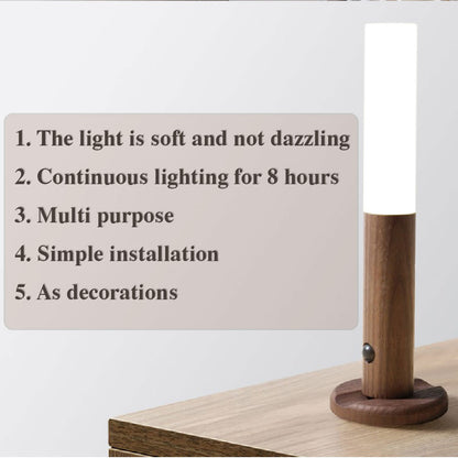 Motion Sensor LED Night Light, Magnetic, USB Rechargeable (photo 6)
