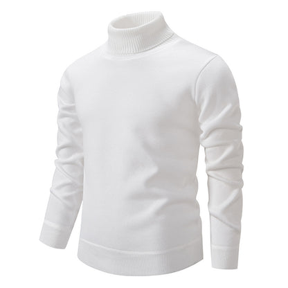 Men's Fleece-Lined Turtleneck Sweater (photo 3)