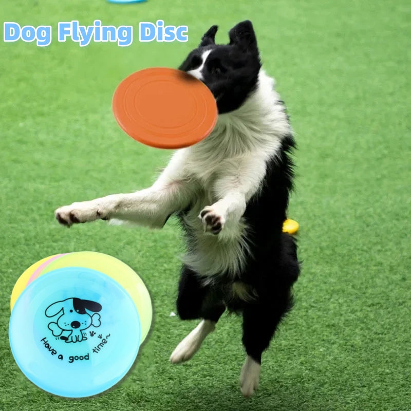 Flying Disc Dog Toy, 20 cm