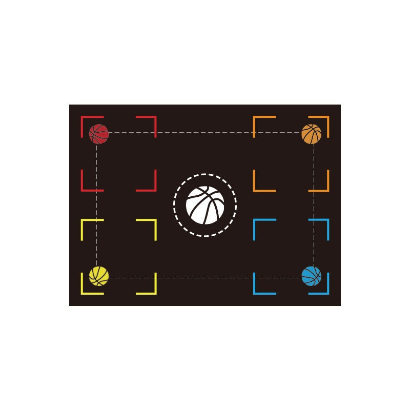 Basketball Footwork Training Mat (photo 3)